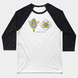 Arabidopsis thaliana Flower Illustration Baseball T-Shirt